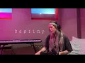Ellie Goulding - Destiny (Acoustic)