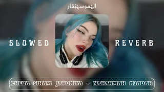                                                          نحكمه نعضه دندنها