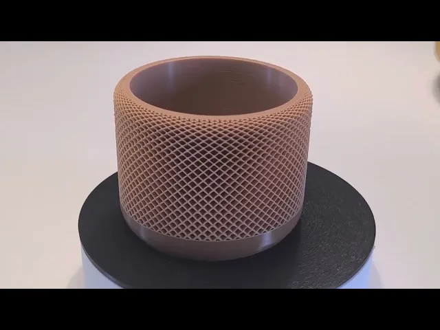Vase Plant.stl video thumbnail