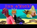 Download Lagu 24: Best Scuba Diving Muck Site IN Lombok, Indonesia is Kecinan Beach / Seahorse Bay