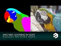 Machine-Learning in Nuke - CopyCat Workflow Demo
