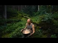 Magical Forest Handpan Journey (1111 Hz) | 1 hour Calming Music for Deep Rest | Malte Marten