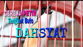 full tembakan dahsyat gereja petir u0026 tengkek buto