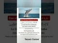 Download Lagu Dua of Prophet Yunus