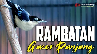 Download RAMBATAN DORAEMON GACOR TEMBAKAN PANJANG MP3