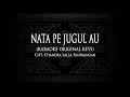 Download Lagu Nata Pe Jugul Au (Karaoke Original Keys) Cipt. Chandra Lalla Pandiangan #KaraokeLaguBatak