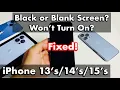 iPhone 13 s Black Screen Display Won t Turn On FIXED - Watch This First