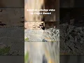 Download Lagu Avontuurtjes met de heren...  #europe #humour #memes #party #humor #travel #comedy #funny