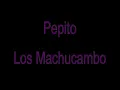 Download Lagu Pepito   Los Machucambos with lyrics