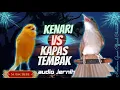 Download Lagu Kapas Tembak Dan Kenari Tembakan Ngeroll Panjang