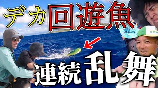 【サプライズ凸】デカ回遊魚沸きまくり！ハイサイ丸で全力釣りサポートしてみた【#ディズム　#マルチスキンケアＵＶスティック】