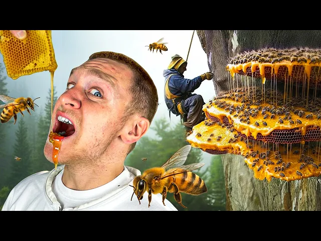 ნეპალში გავსინჯე თაფლი, რომელიც ჰალუცინაციებს იწვევს