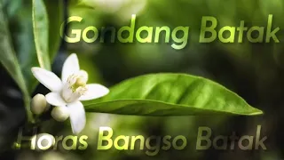 Download Gondang Batak Terbaik 2021 |HORAS BANGSO BATAK| MP3