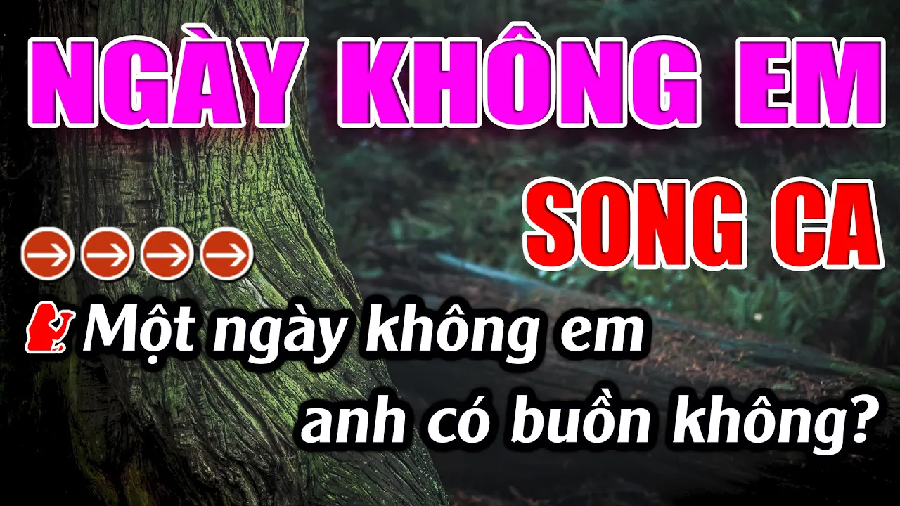 Ngày Không Em Karaoke Song Ca Karaoke Lâm Beat - Beat Mới