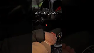 مليش غير قلبك انت مكان    دندنها