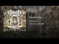 Eyes in the Sky