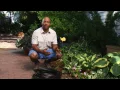 Low Maintenance Landscaping Ideas