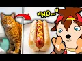 Download Lagu He Made a Hot dog Out of Every Animal... | Kenji Reacts