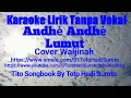 Ande Ande Lumut Tanpa Vokal ( Toto Hadi Suroto )