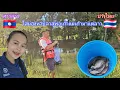 Download Lagu เขยลาว🇱🇦 ลงใส่มองหาปลามาก้อยสู่พ่อเถ้าแม่เถ้ามาแต่ฝั่งลาวกิน
