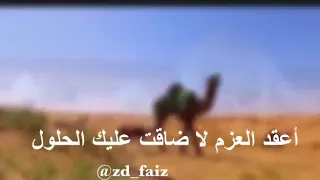 الرفيق السنافي يرتكي للحمول 