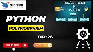 Polymorphism in Python Day 26 - Write Flexible Reusable Code with OOP