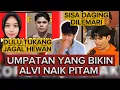 Download Lagu UMPATAN TIARA YANG BIKIN ALVI KESAL‼️ DULU JADI TUKANG P0UT0UNG D4GING HEWAN⁉️