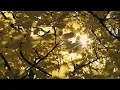 Jeremy Soule (Skyrim) — “Dawn” [Extended with Moderate “Morning Ambience” ] (90 min.)