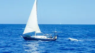 Dangerous Island Entry Solo Sailing to Georgetown, Bahamas on my 30ft sailboat