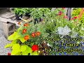 Meadows Farm Nurseries Tour itsmelaarni