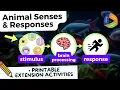 Animal Senses Responses for Kids Stimulus Processing 4th Grade Science 4-LS1-2