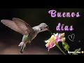 Buenos dias Motivacion para la manana Frases positivas para empezar bien el dia Feliz dia Saludos