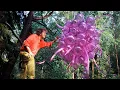 Chihuly An Introduction