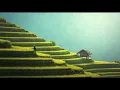 Download Lagu 7 samudra - Difarina Indra Adella