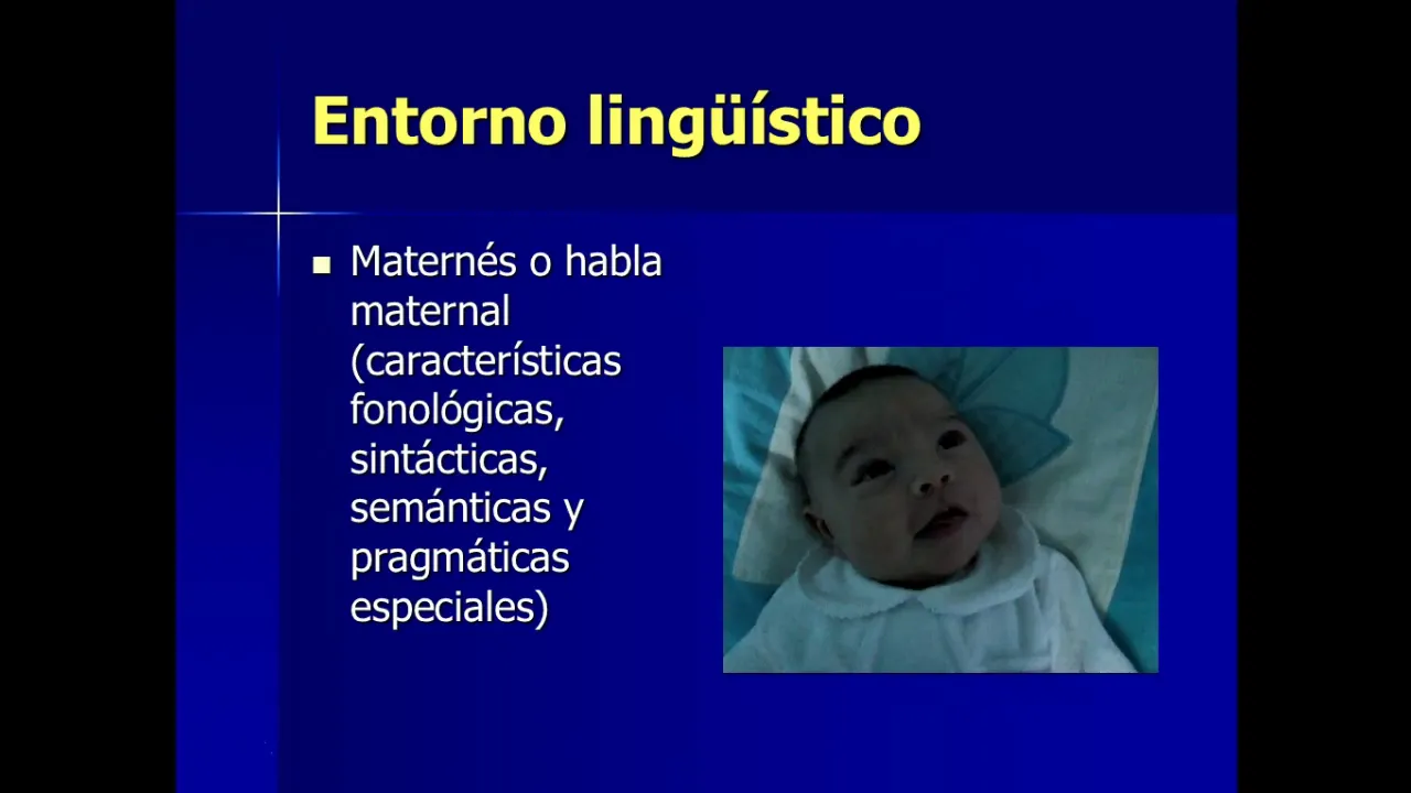 Adquisición del lenguaje-Explicaciones