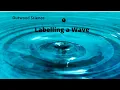 Labelling a Wave