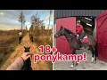 Lagu Volwassen ponykamp in Drenthe! 🏇🌲🍁|| Sannicious
