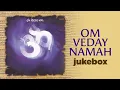 Download Lagu Om Veday Namah | Jukebox | Anup Jalota | Uday Bhawalkar | Vedic Chants for Peace and Harmony