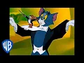 Download Lagu Tom \u0026 Jerry | Can't Stop Conducting | Classic Cartoon | WB Kids