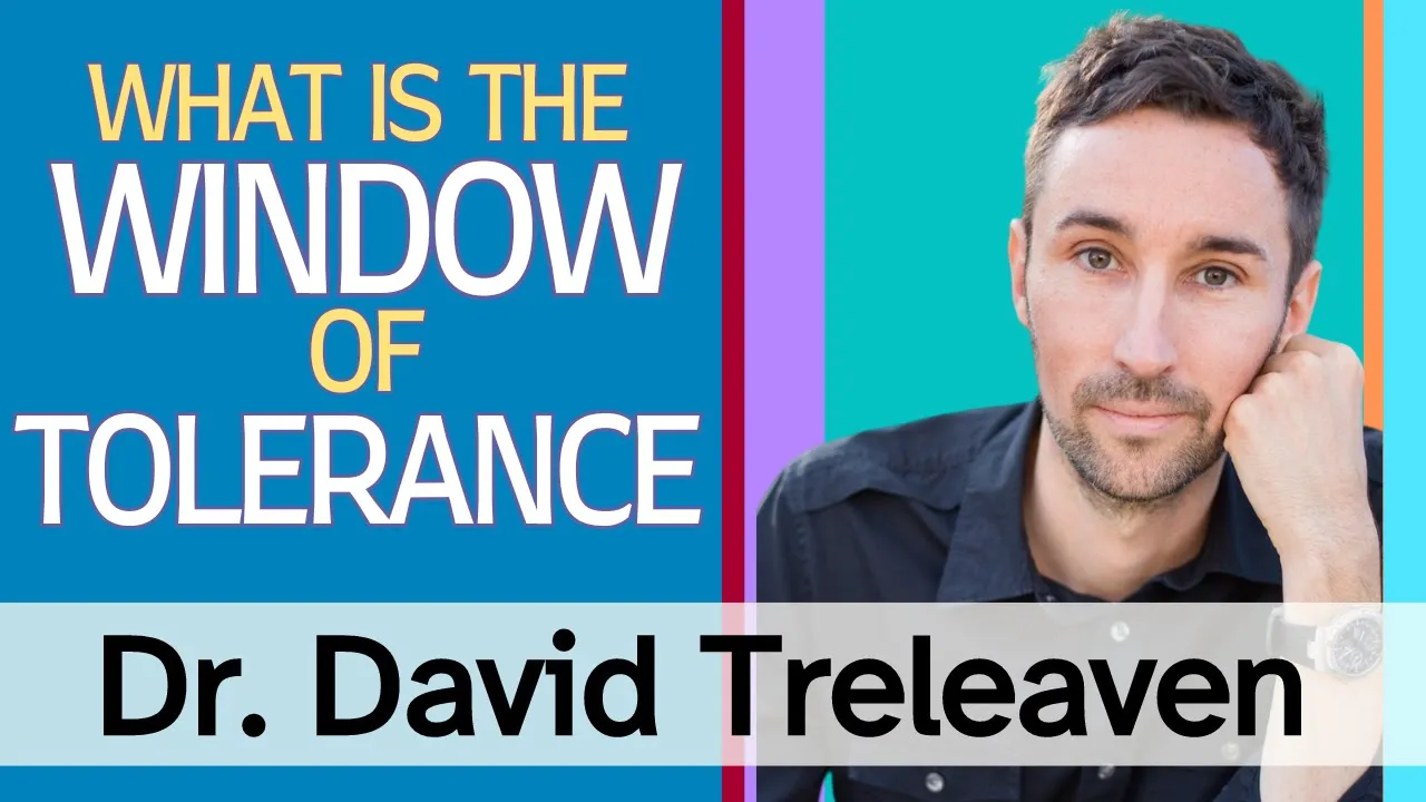 What is the Window of Tolerance?