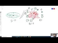 Explosions and Conservation of Momentum
