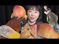 Download Lagu 마른 간 중독자 모드 ON ! 먹을 때마다 새롭다Mukbang eating show