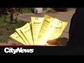 Frequently ticketed residents push to change street parking rules