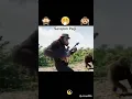 http://sck.io/p/IJZdNhbu