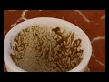 Gemini When Nothing Makes Sense Watch This Coffee Cup Reading
