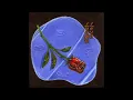 Michael Seyer - Lucky Love