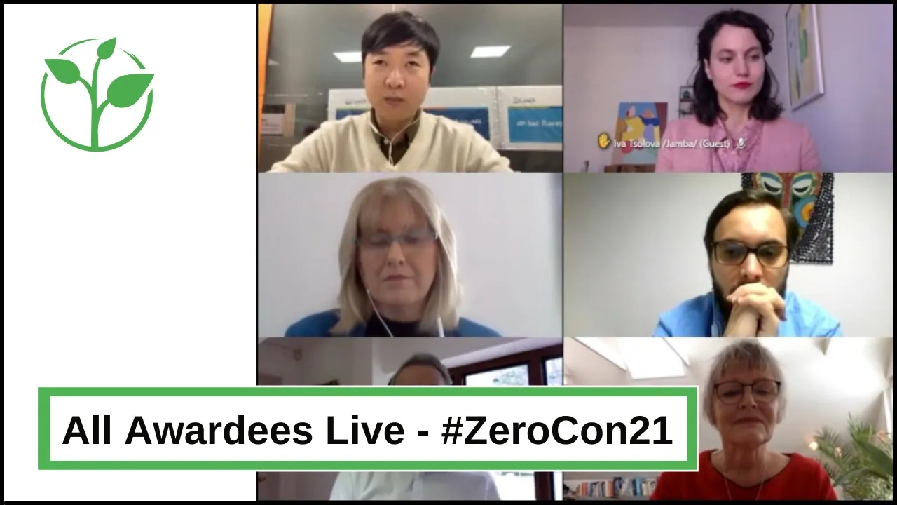 Live on screen: All the Zero Project Awardees 2021