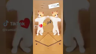 احبج كوثر  لا تنسون الاشتراك بالقناه     دندنها