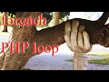 foreach PHP