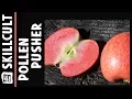 Pollinating Apple Blossoms and Pollen Now For Sale